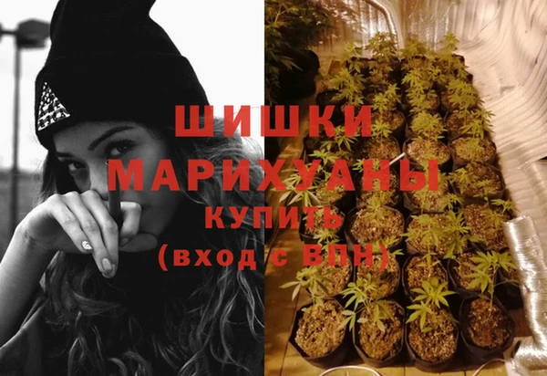 бошки Алексин
