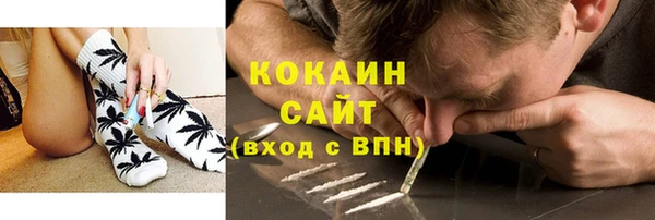 бошки Алексин