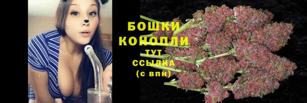 бошки Алексин