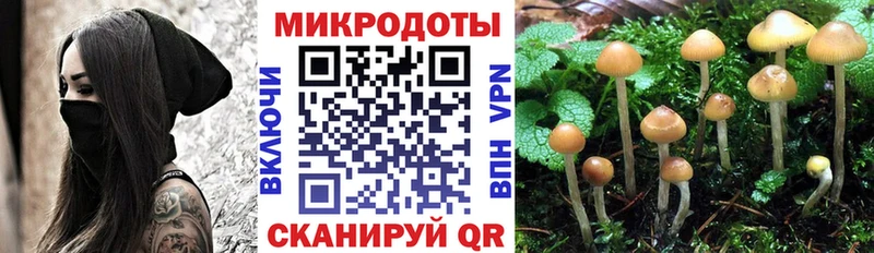 Псилоцибиновые грибы прущие грибы  Арзамас 